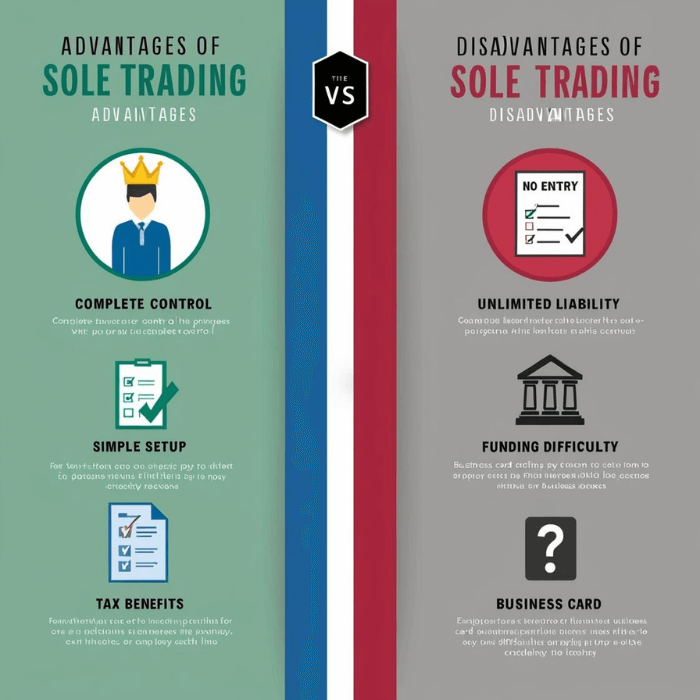 Infographic showing the advantages and disadvantages of being a sole trader, including icons representing control, setup, tax benefits, liability, funding challenges, and credibility.